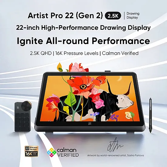 XPPen Artist Pro 22 (Gen2) Drawing Display - QHD - MD220QH | DGtizers